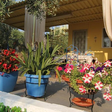 فيلا Joanna'S House Skála Kallirákhis المظهر الخارجي الصورة