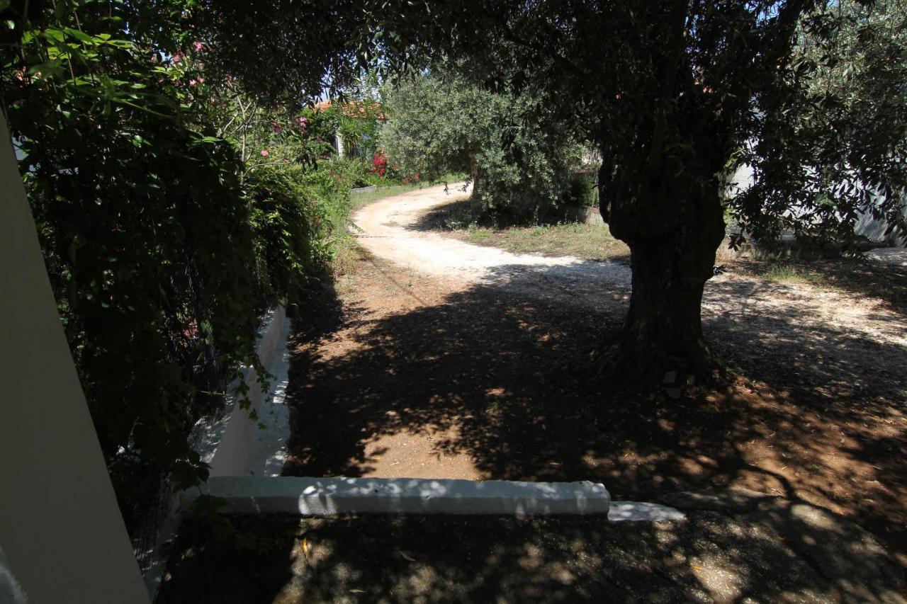 فيلا Joanna'S House Skála Kallirákhis المظهر الخارجي الصورة