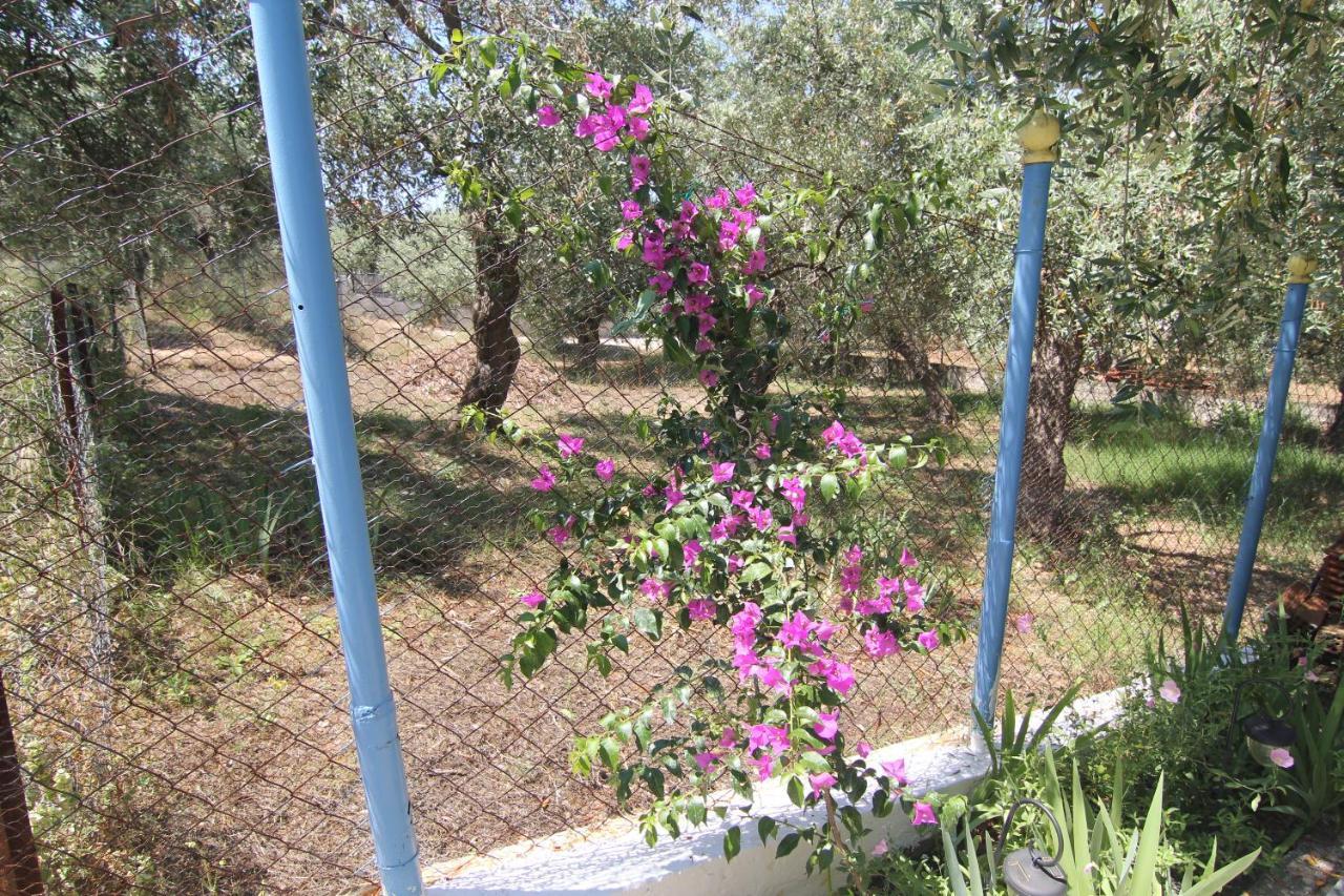 فيلا Joanna'S House Skála Kallirákhis المظهر الخارجي الصورة